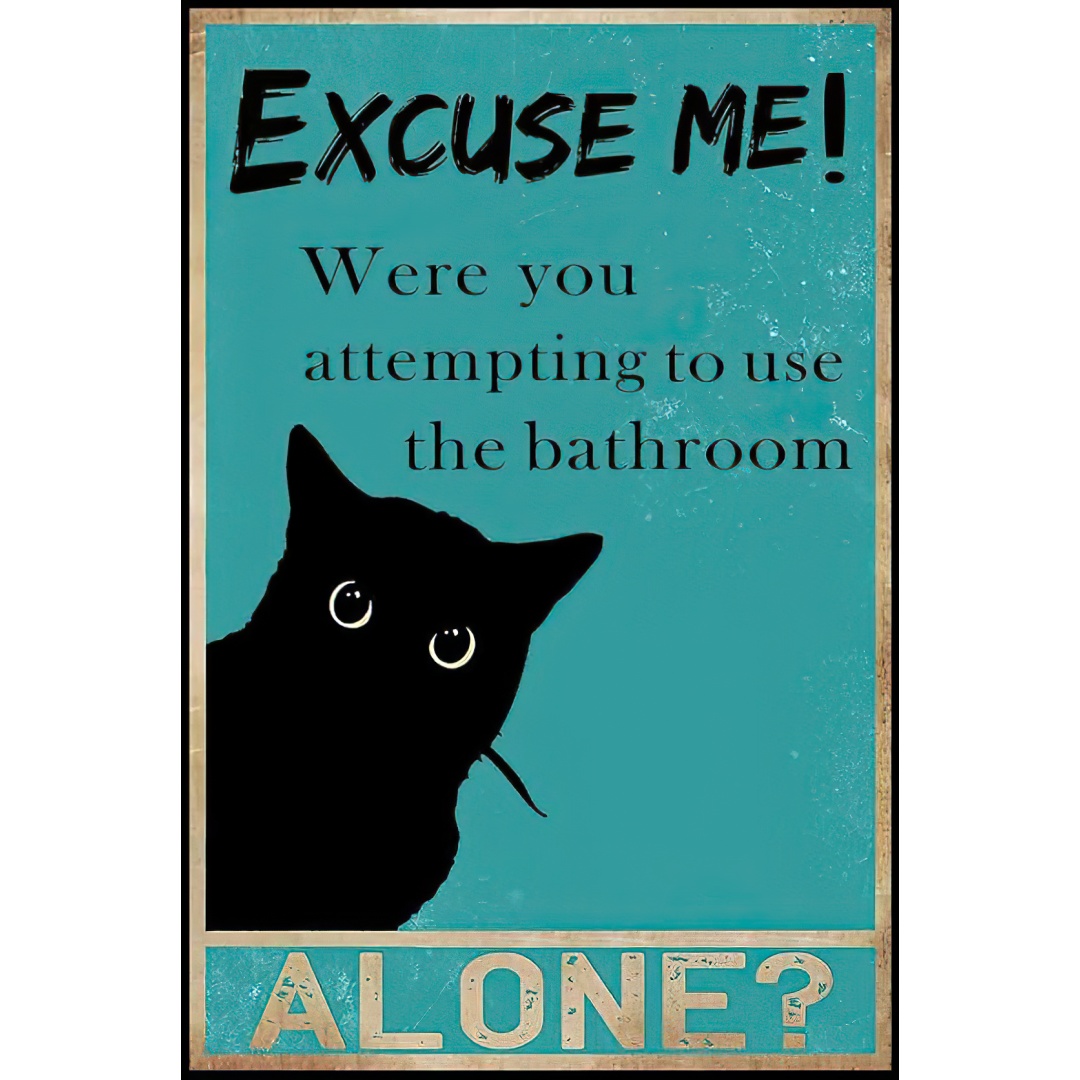Tin Sign Funny Black Cat Bathr – Home Alone Bathroom recenzja i cena