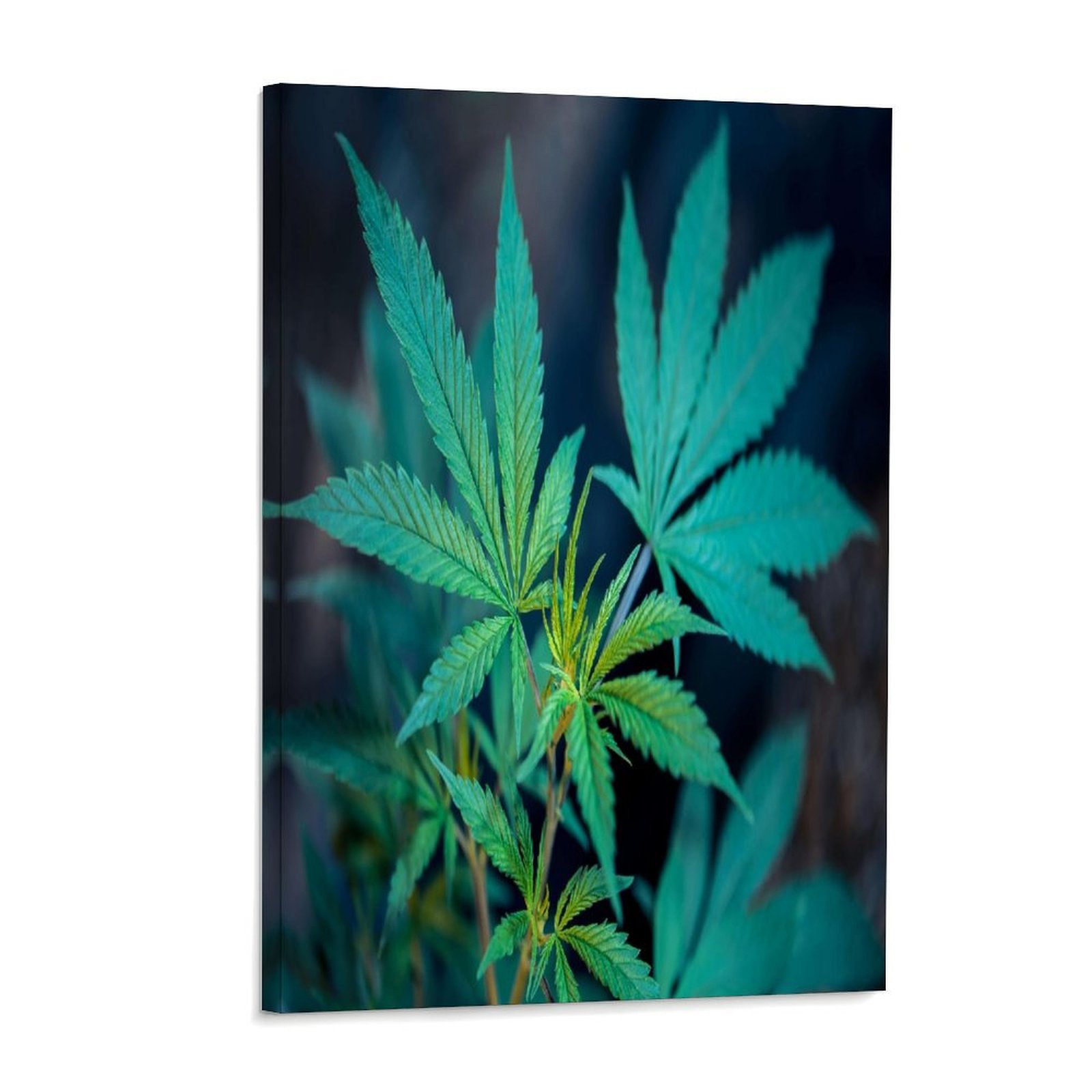 Botanical Green Leaf Poster Ae – Home Bathroom Painting Ideas recenzja i cena